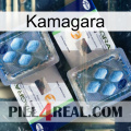 Kamagara viagra5